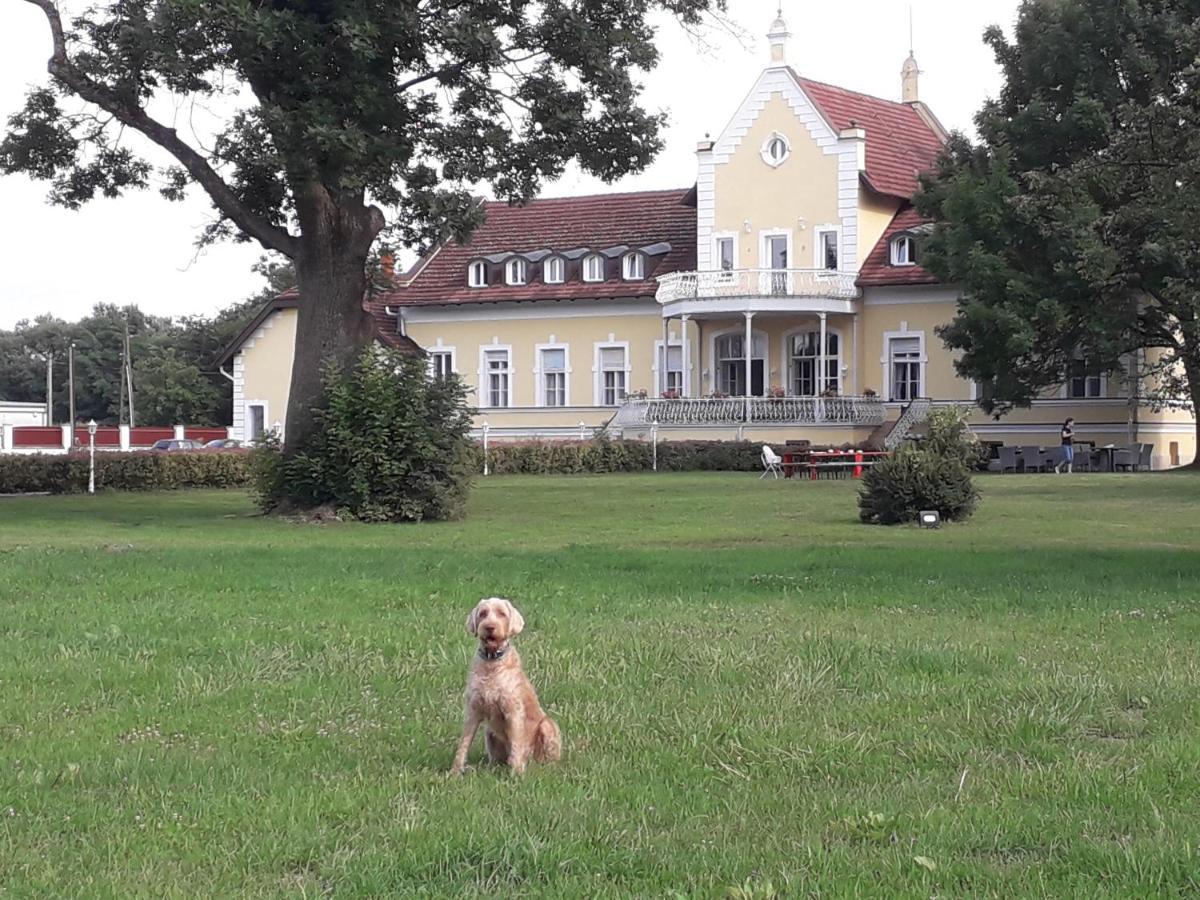 Bed and Breakfast Rosenberg Kuria Taplanszentkereszt Exteriér fotografie